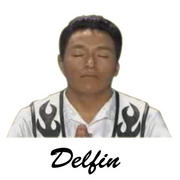 delfin.jpg