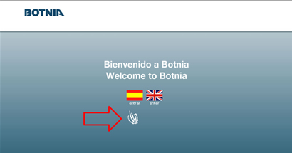 Sitio web de Botnia