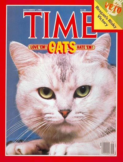 cats.jpg